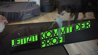 Imulskontrolle