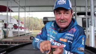 Strike King Magnum Rage Bug - Shaw Grigsby