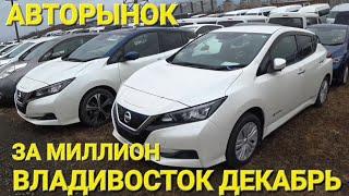 ЧТО ЖДЁТ ЭЛЕКТРОКАРЫ С НОВОГО ГОДА? АВТОРЫНОК ВЛАДИВОСТОК ЗЕЛЁНЫЙ УГОЛ, ДЕКАБРЬ 2024