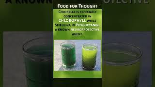 Spirulina VS Chlorella