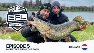 Monsters from the bank - Episode 5, EFL 2024