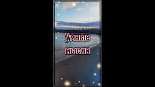 УМНЫЕ МЫСЛИ...  Цитаты со смыслом.  Мудрые слова.  Правда. #shorts