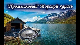 Карась морской. Русская Рыбалка.