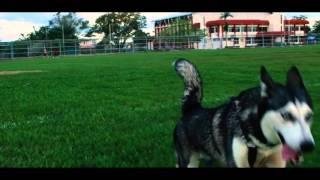 Sarikei town sarawak Borneo shoot with DJI osmo