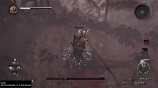 Nioh - Shima Sakon - Spearfall Edition (Perfect)
