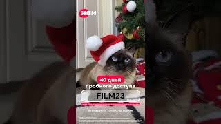 Онлайн кинотеатр ИВИ (ivi) 40 дней для новых пользователей #shortsvideo