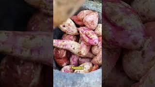 Turning Sweet Potatoes to Glass Noodles
