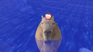 ok i pull up capybara