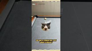 BILLIARDS STICK #billiards #billiardtutorial #8ballpool #8ballbilliards #snooker #pool