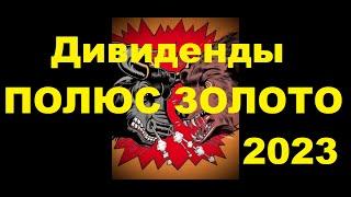 Дивиденды Полюс Золото в 2023 году. Обзор ММВБ.