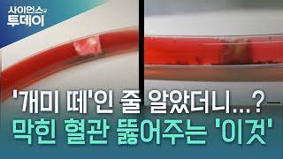 '개미 떼'인 줄 알았더니…국산 마이크로 로봇 등장 / YTN 사이언스