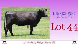Lot 44 Ruby Ridge Sasha S6