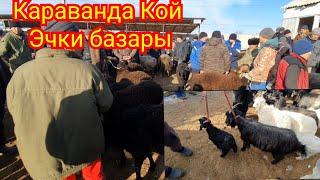 Караванда Кой -Эчки базары.5-Февраль.