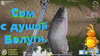 Сом, с душой белуги. Мой рекорд.  Русская рыбалка 4. Russian Fishing 4.