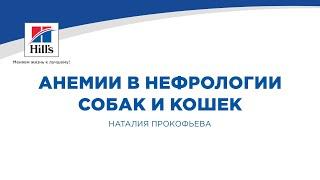 Вебинар №8 школы НЕФРОУРОВЕТ: "Анемии в нефрологии собак и кошек". Лектор - Наталия Прокофьева.