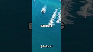 AI in Tourism | Transforming Your Travel Experience