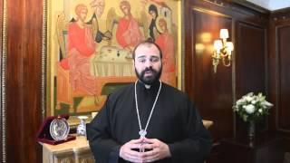 Fr  Nathanael Symeonides Discusses the Apostolic Pilgrimage to Jerusalem