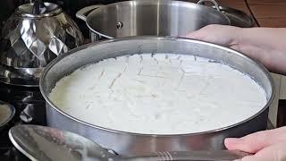 Fresh Homemade Feta Cheese