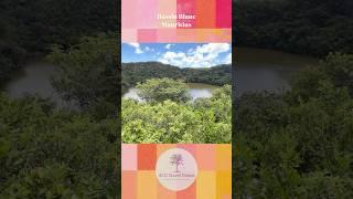 Bassin Blanc - Mauritius