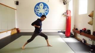 Martial arts yoga movements