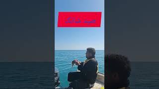 صید ماهی شانک که گوشت بدون تیغی داره و خیلی لذیذ است#ماهیگیری#ماهیگیران #fishing #قایق #fish