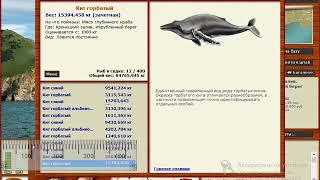 русская рыбалка 3.99 различаем кит синий от кит горбатой