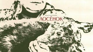 Документальный фильм "Лосёнок" (реж. Е. Копцева) // Documentary film The Elk Calf ( E. Koptseva)