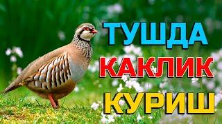 Туш табири - Тушда каклик куриш