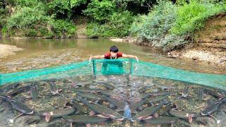 Boy Lam used a net to catch fish in the stream, luckily caught a lot of fish.