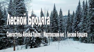 Снегоступы Alexika Yukon | Мартовский лес | Лесной Бродяга