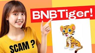 IS BNBTiger A SCAM Watch this before buying BNBTiger token