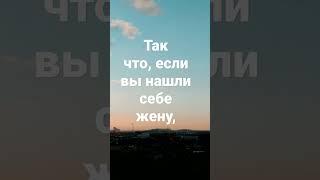 Мудрый совет!Юмор