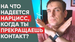 На что надеется Нарцисс, когда вы прекращаете контакты?