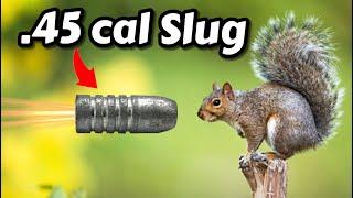 is a .45 cal too much for squirrels?