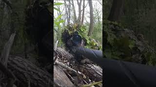 Sneaky Headshot Airsoft Sniper #SHORTS