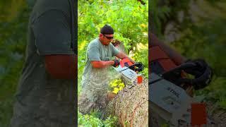 Eliminating hazards, one tree at a time!🪓#SiouxCity #TreeCare #siouxcitytreeco #summer #treeremoval