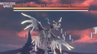 Wuthering Waves: Boss Showcase - Mourning Aix: Lamenting Shadow