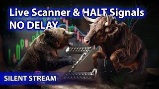 ​Live Scanner  Stock Market scanner - Silent Stream (no-delay, voice only)  12/11/2024