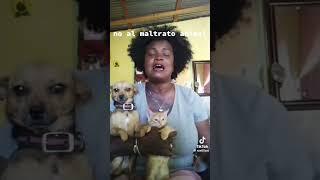 no al maltrato animal #tiktok #edit #sad por favor no al maltrato animal, como huellitas:)