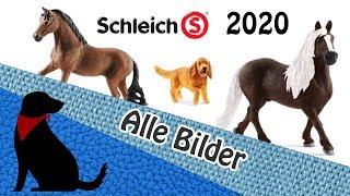 SCHLEICH NEUHEITEN 2020 - MIT BILDERN (ohne Dinos und Eldrador)