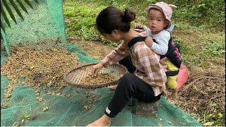 single mother struggling to make a living raising young children