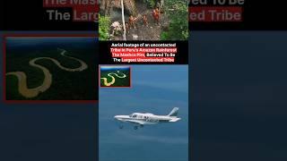 Tribals Of Amazon  | #facts #information #shorts