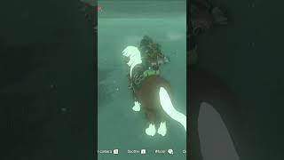 Farming Rupees | Zelda, TotK Shortorial