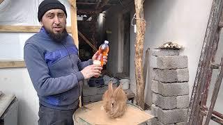 Molochnoye kislota / Молочная кислота