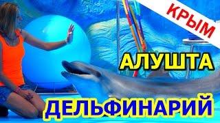 КРЫМ. КАНАКА-КУДА ПОЕХАТЬ?АЛУШТА. Дельфинарий "Акварель"