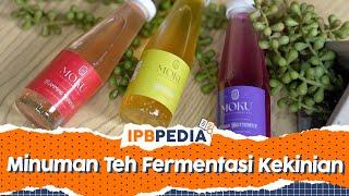 IPB Pedia: Moku Kombucha, Minuman Segar Menyehatkan dan Kekinian