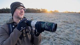 Bird Photography on a Frosted Nature Reserve - and Tips on Using the Frost