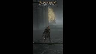 #eldenring #eldenringshadowoftheerdtree #eldenringdlc #shadowoftheerdtree #eldenringlore #gaming