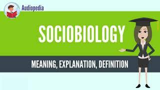 What Is SOCIOBIOLOGY? SOCIOBIOLOGY Definition & Meaning