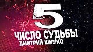 ЧИСЛО СУДЬБЫ "5" /  ДМИТРИЙ ШИМКО